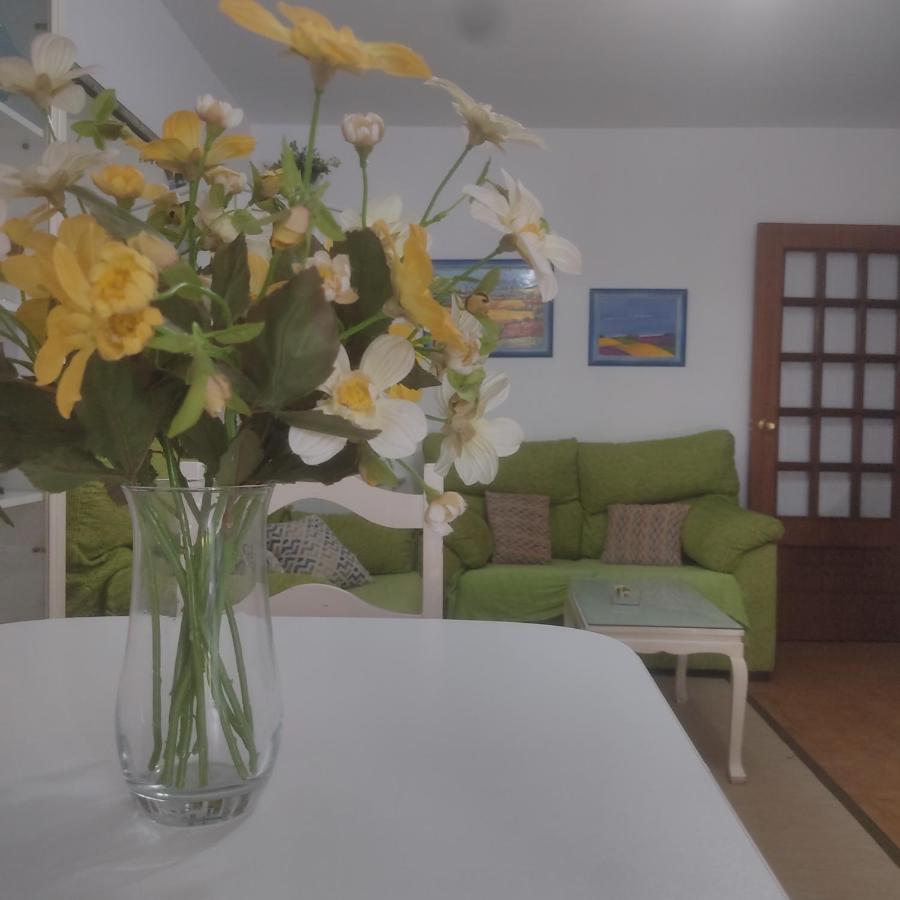 Roca Pilar Apartment